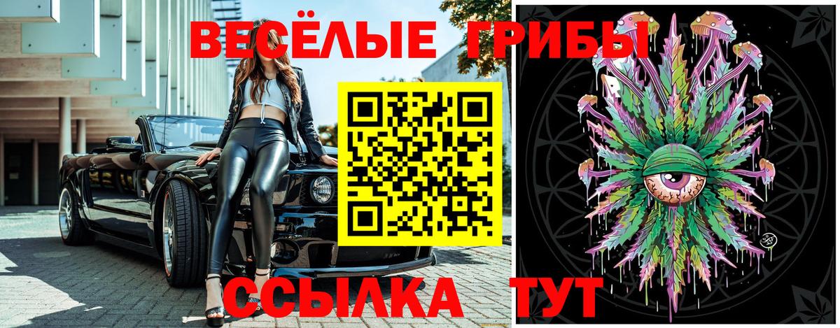 Псилоцибиновые грибы GOLDEN TEACHER Сокол